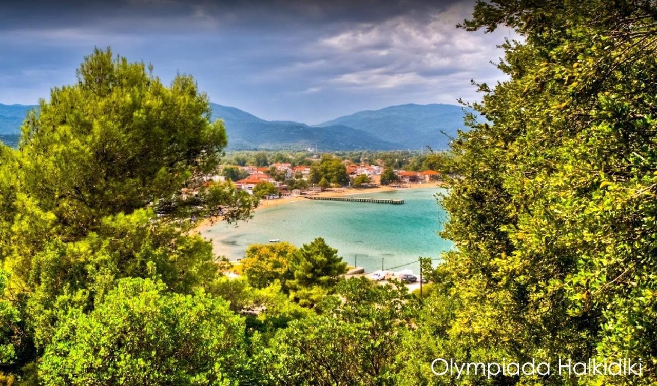 Mirini • Ancient Stagira Apts • Chalkidiki オリンピアダ エクステリア 写真