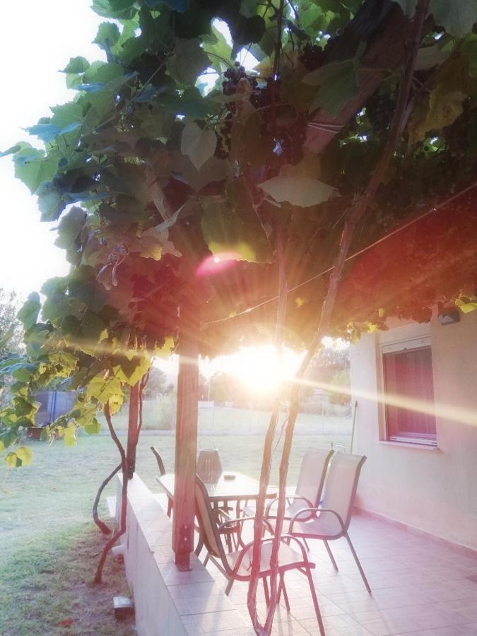 Mirini • Ancient Stagira Apts • Chalkidiki オリンピアダ エクステリア 写真