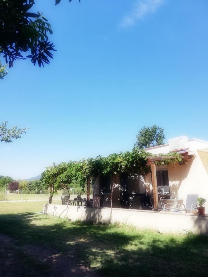 Mirini • Ancient Stagira Apts • Chalkidiki オリンピアダ エクステリア 写真